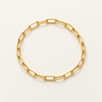 The Linnea Link Bracelet — Gold bracelet overhead oval — reference-based visualization; reference-based AI visualization